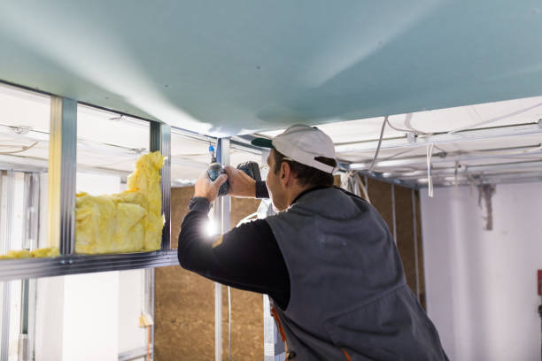 Best Residential Insulation in Fair Oaks, VA