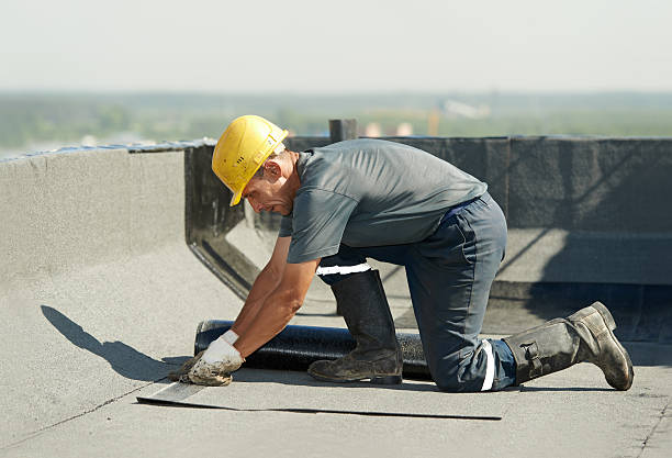 Best Eco-Friendly Insulation in Fair Oaks, VA