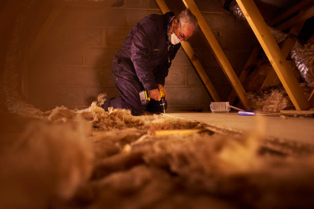Best Geographic-Specific Insulation Services in Fair Oaks, VA