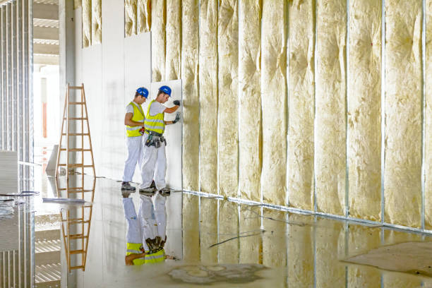 Professional Insulation Contractor in Fair Oaks, VA